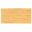 DMC Stranded Cotton 3855