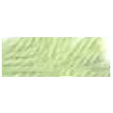 DMC Tapestry Wool Skein 7040