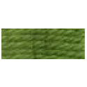 DMC Tapestry Wool Skein 7769