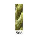 Buds 563 Kiwifruit - light