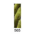Buds 565 Kiwifruit - medium