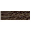 Paternayan 462 Beige Brown
