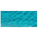 Paternayan 592 Caribbean Blue