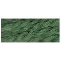 Paternayan 602 Forest Green