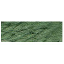Paternayan 603 Forest Green
