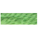 Paternayan 633 Spring Green