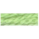 Paternayan 634 Spring Green