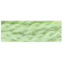 Paternayan 635 Spring Green