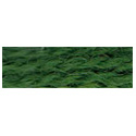 Paternayan 691 Loden Green