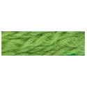 Paternayan 698 Christmas Green
