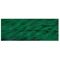 Paternayan 706 Christmas Green