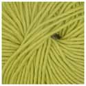 Bellissimo 12 - 328 Chartreuse
